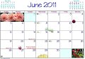 13 Jun Dates